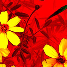 ddos压力在线测试平台